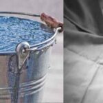 उत्तर प्रदेश