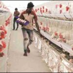 राष्ट्रीय समाचार