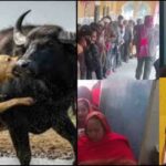 उत्तर प्रदेश