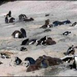 अंतर्राष्ट्रीय समाचार