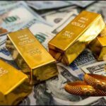 राय / संपादकीय