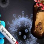 अंतर्राष्ट्रीय समाचार