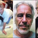 अंतर्राष्ट्रीय समाचार