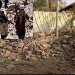 अंतर्राष्ट्रीय समाचार