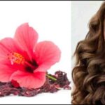 अंतर्राष्ट्रीय समाचार