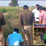 उत्तर प्रदेश