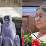 उत्तर प्रदेश