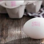 उत्तर प्रदेश