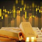 राय / संपादकीय