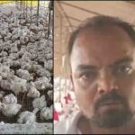 बारात DJ से 140 मुर्गियों की मौत! सुल्तानपुर पोल्ट्री फार्म में हंगामा