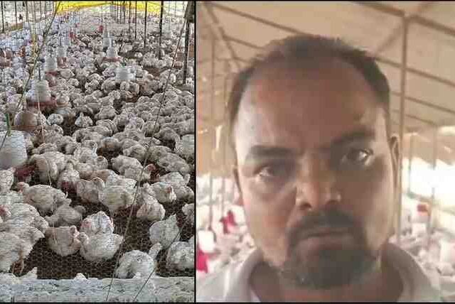 बारात DJ से 140 मुर्गियों की मौत! सुल्तानपुर पोल्ट्री फार्म में हंगामा