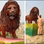 रवि किशन vs सीएम योगी: 